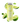 FRESH LIME